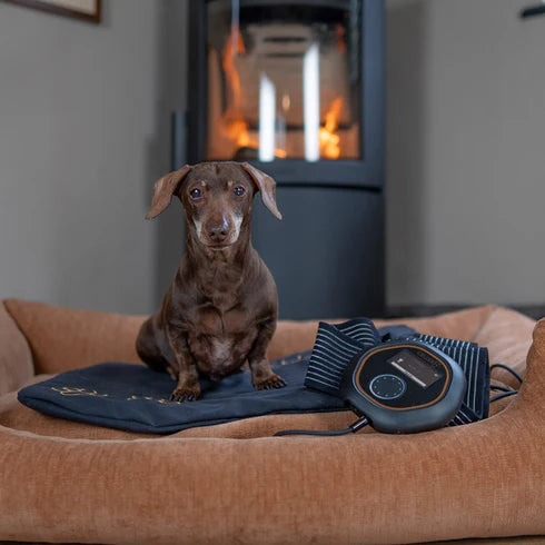 CELLER8 Small Pet Package